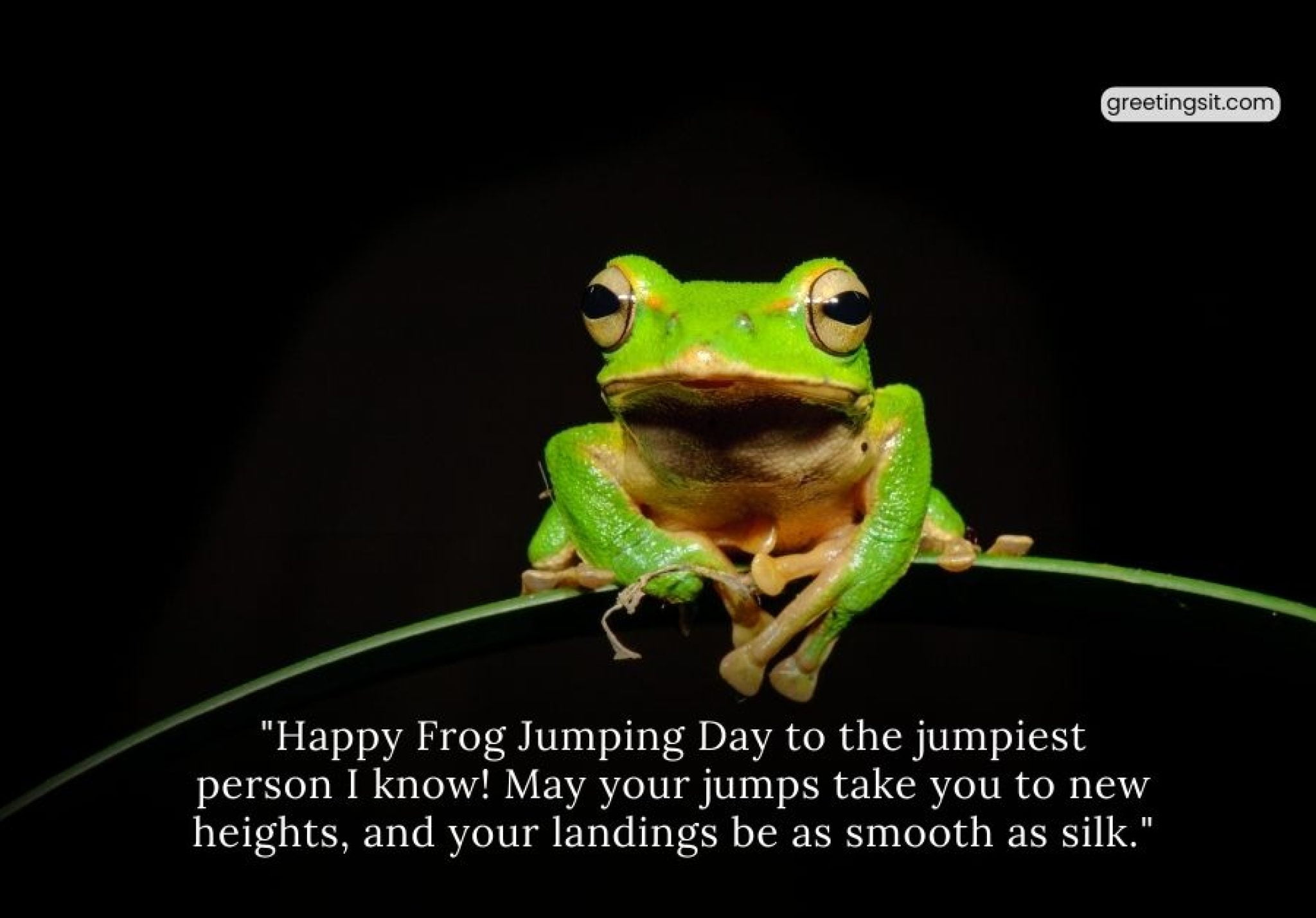 Frog Jumping Day Wishes and Quotes Greetingsit